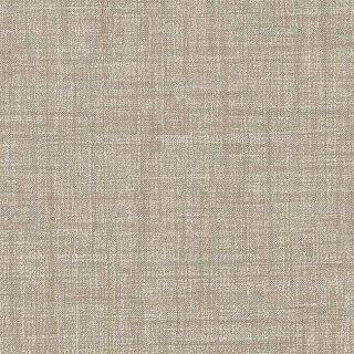 SGA2459