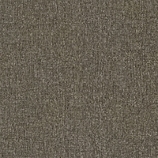 SGA2456